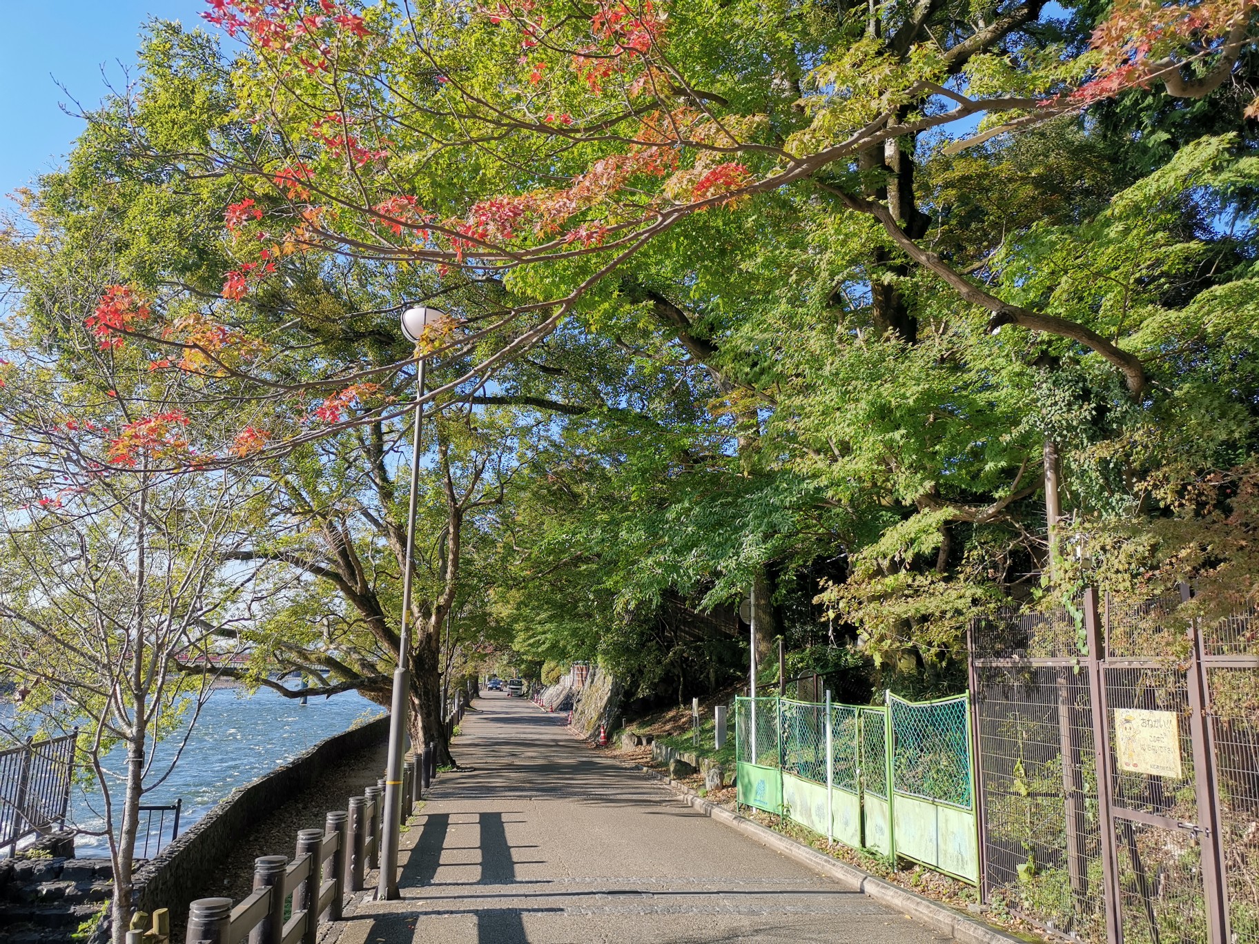 京都自助遊攻略