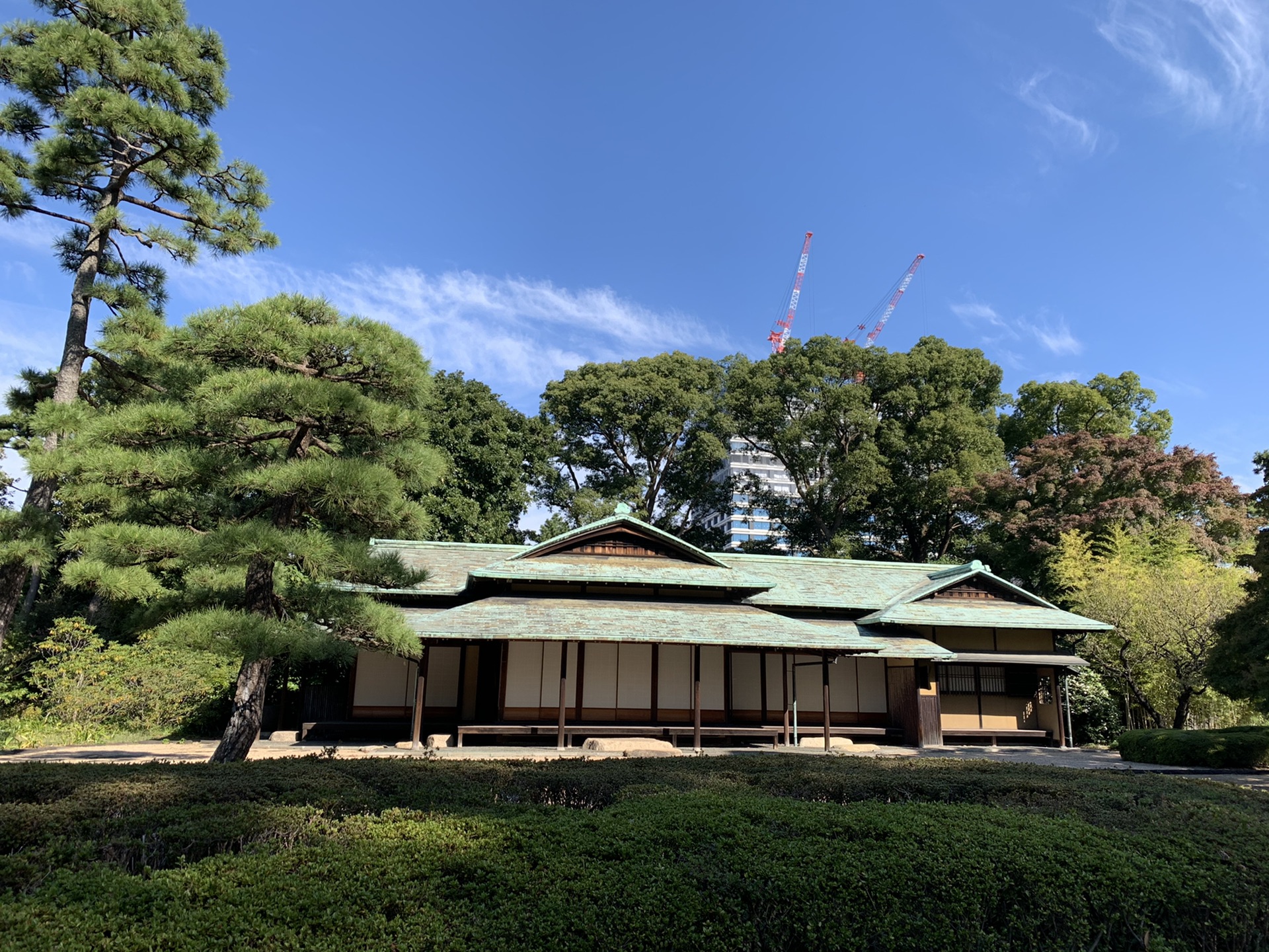 東京自助遊攻略