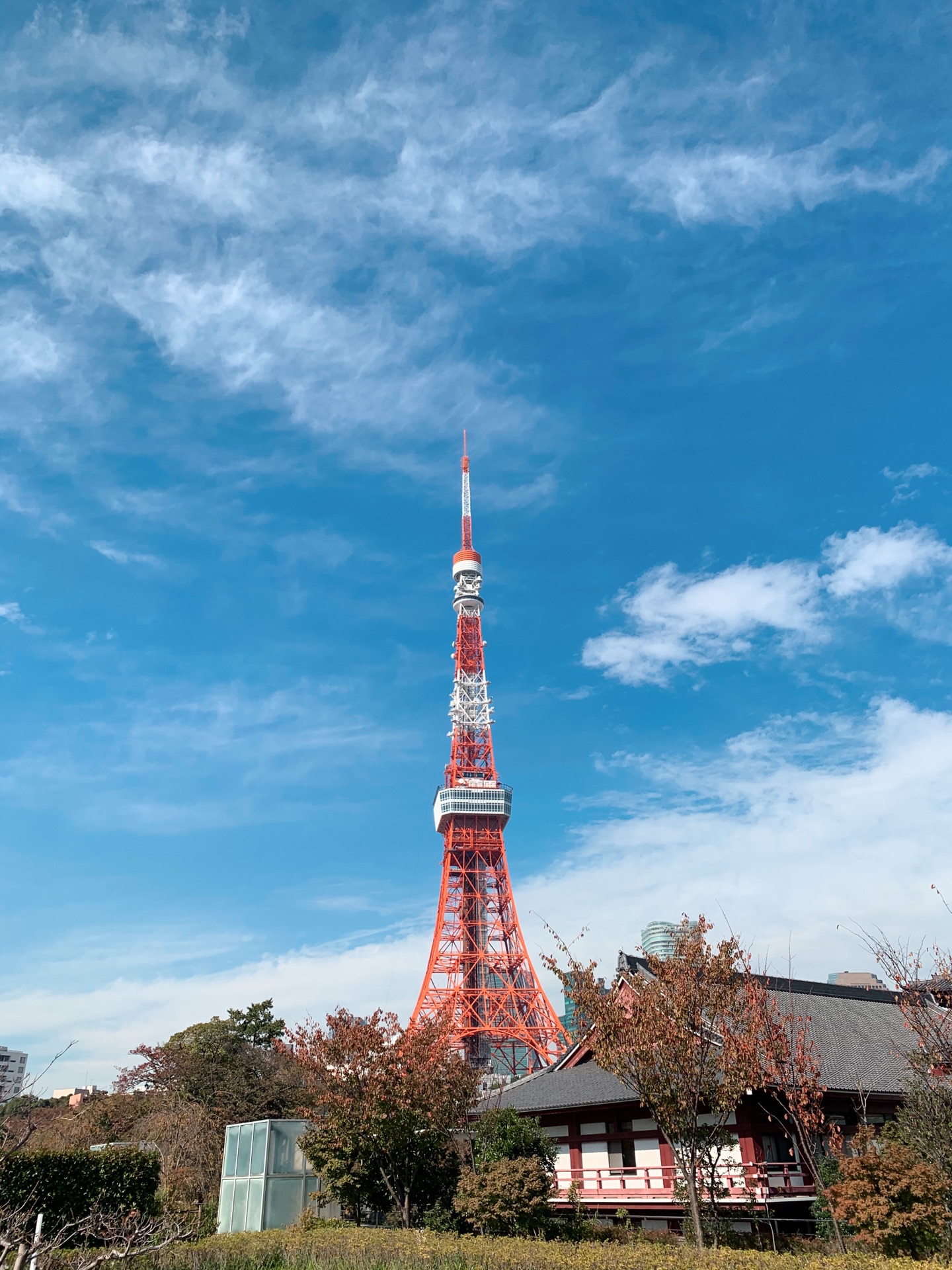 東京自助遊攻略