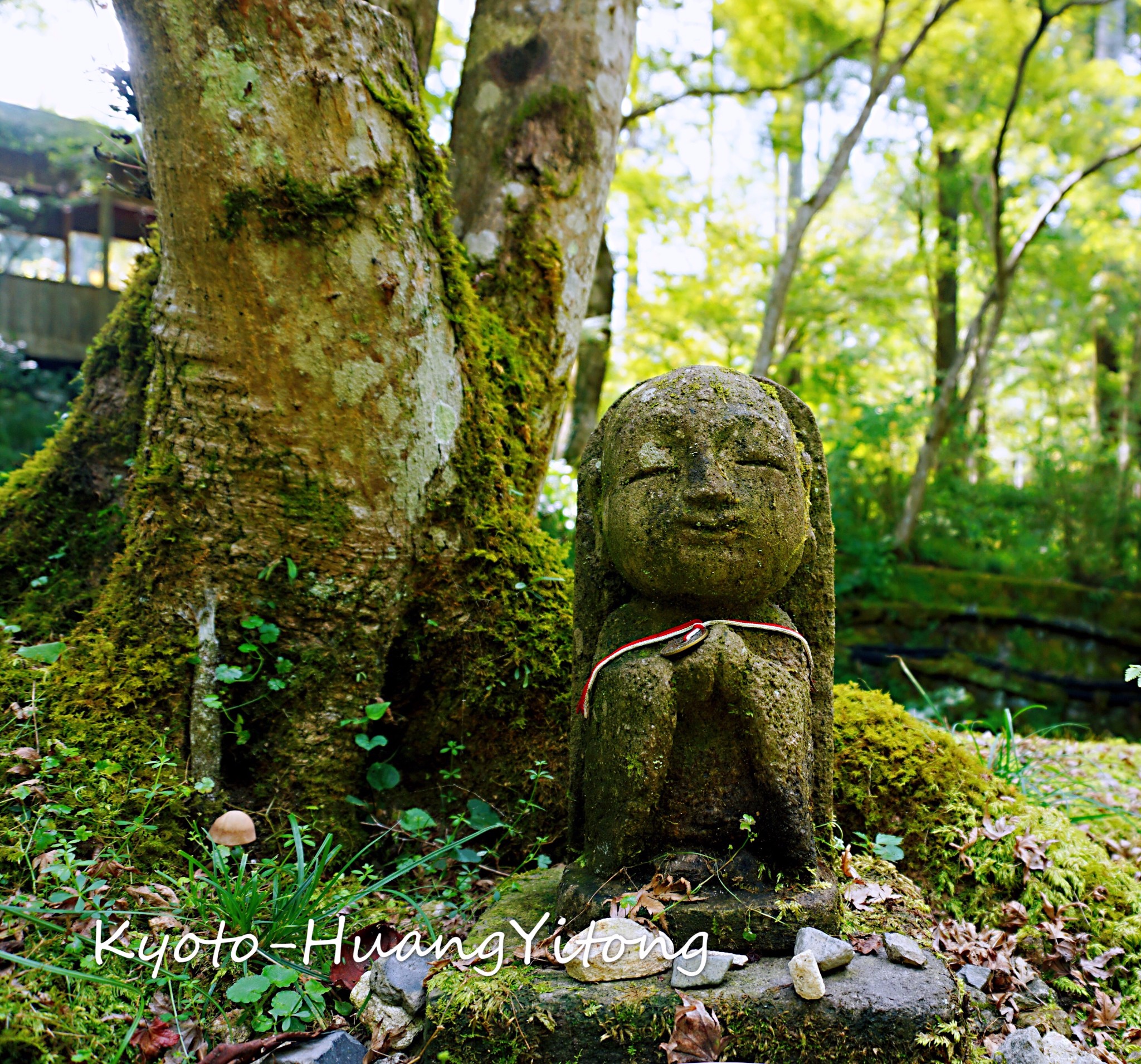 京都自助遊攻略