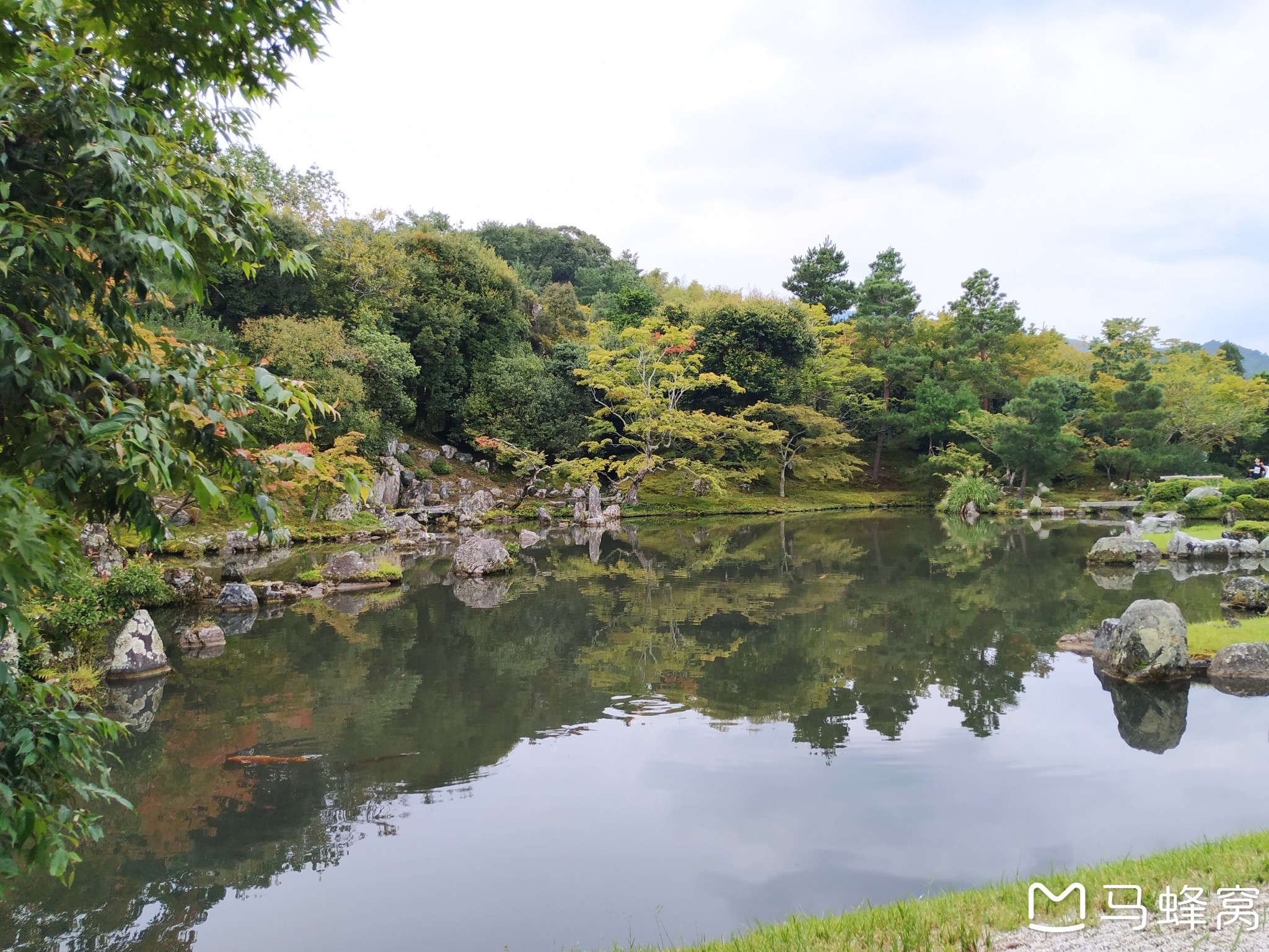 京都自助遊攻略