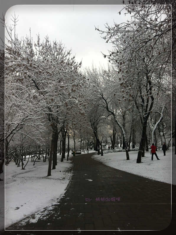 拍照怎么拍出大量雪花图 wKgBt09__LC0H1GmAAMYQnChxgk28.jpeg?imageView2%2F2%2Fw%2F600%2Fq%2F50