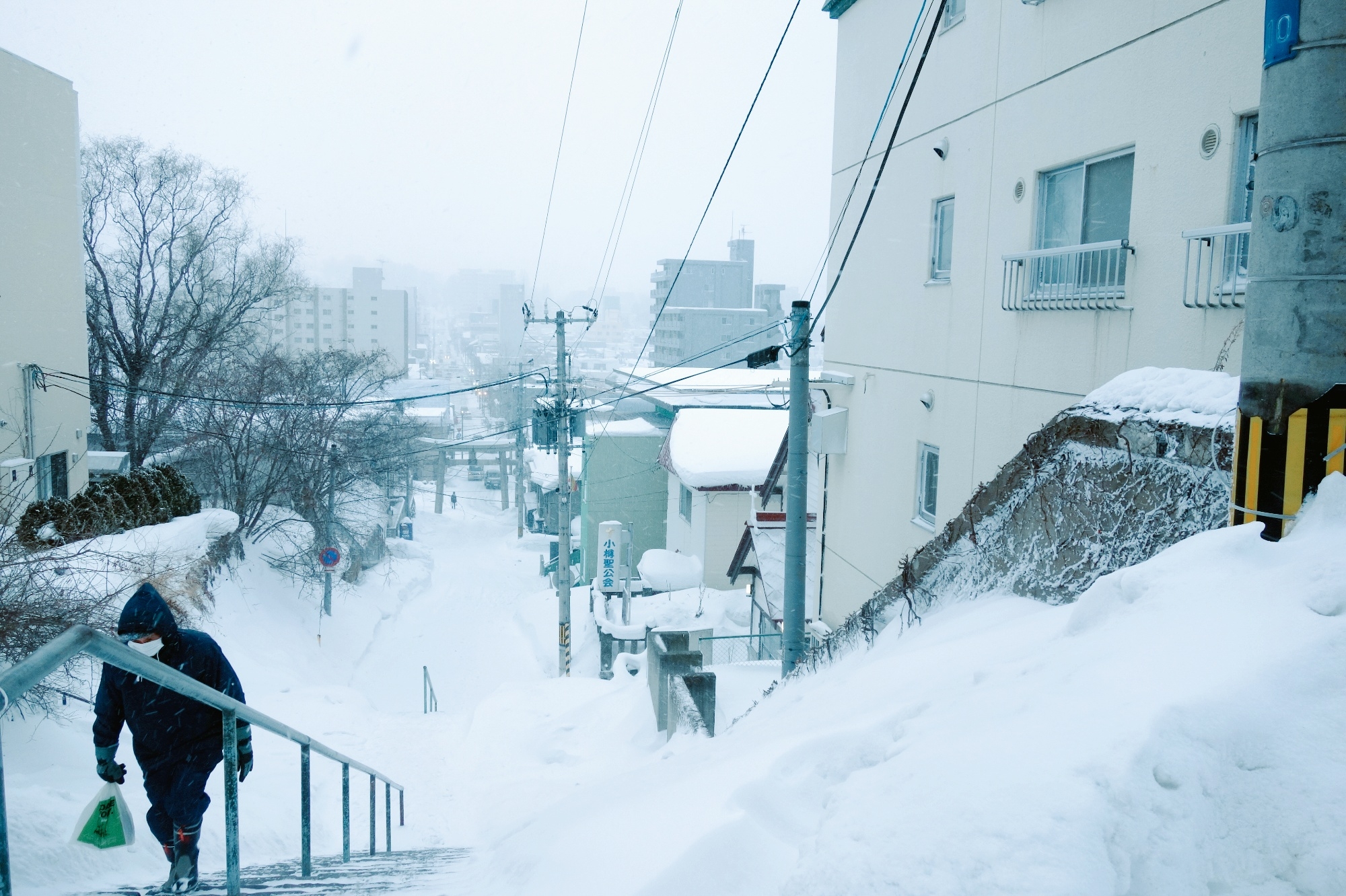 北海道自助遊攻略