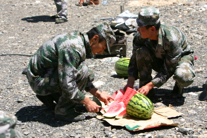 藏川青甘人口_甘青乌头图片