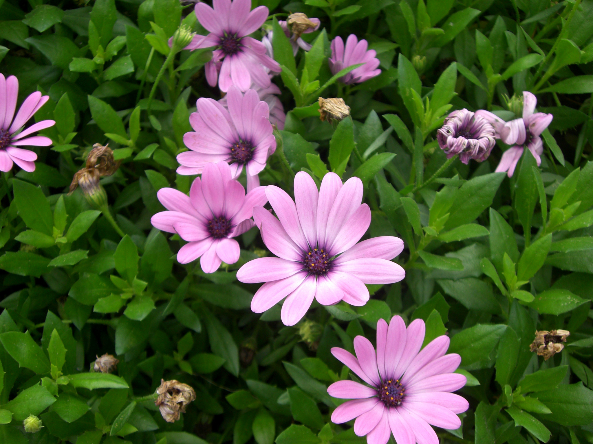 wKgB3FCxPTGAOOrvAAt08xXpfvo44.jpeg?imageView2%2F2%2Fw%2F600%2Fh%2F600%2Fq%2F90