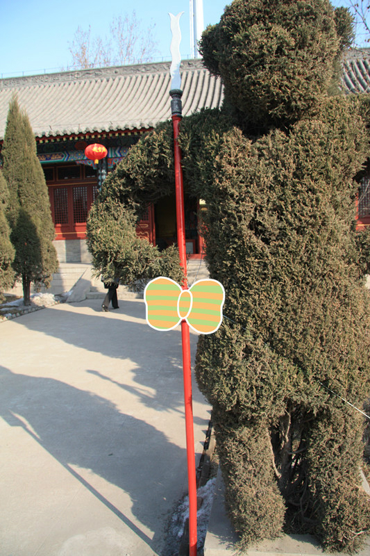 什么侯舞成语_成语故事图片(3)