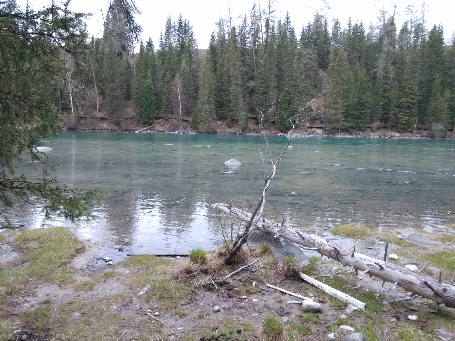 一元任摸失足妇女图片_妇女人均一元钱