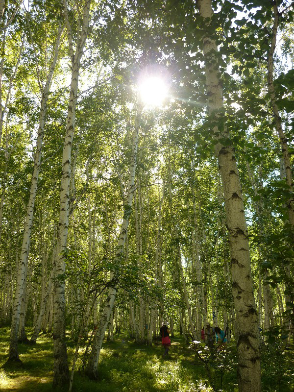 高山漏水古筝曲曲谱(2)