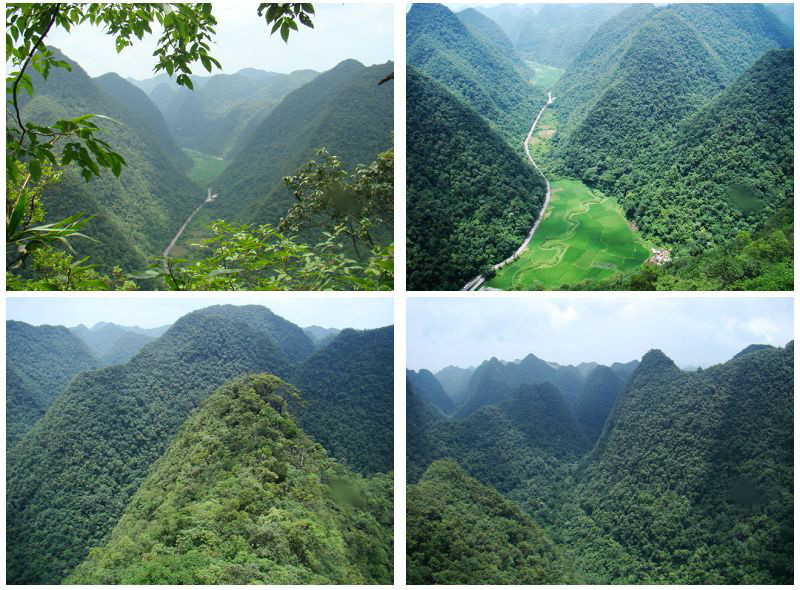 贵阳花溪区马洞村有多少人口_贵阳花溪区青岩龙井村(2)