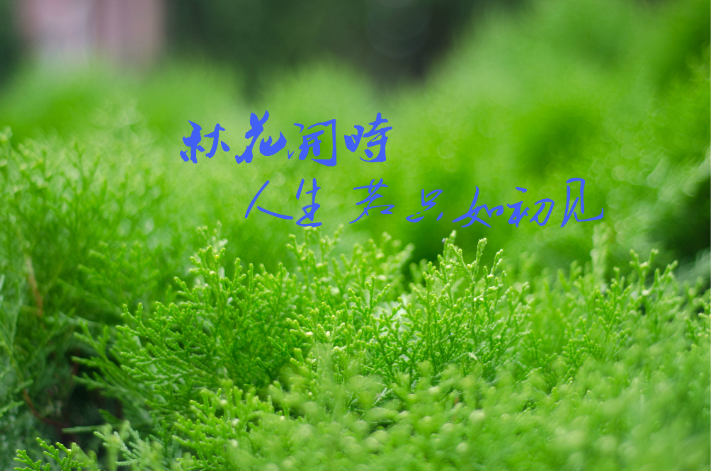 wKgB21BfMrn9K0p7AAx28P6PTwo12.jpeg?imageView2%2F2%2Fw%2F680%2Fq%2F90