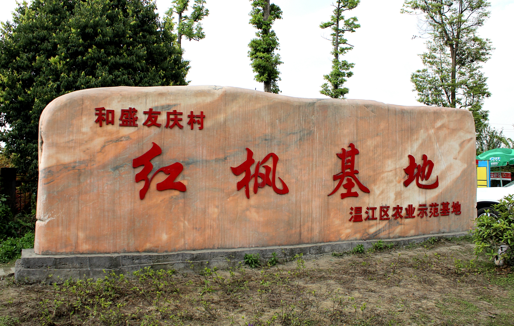 温江红枫基地-赏枫叶!【2014.04.12拍摄于成都温江】