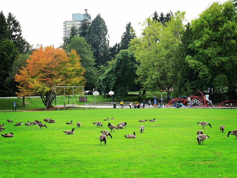 温哥华6大热门景点推荐