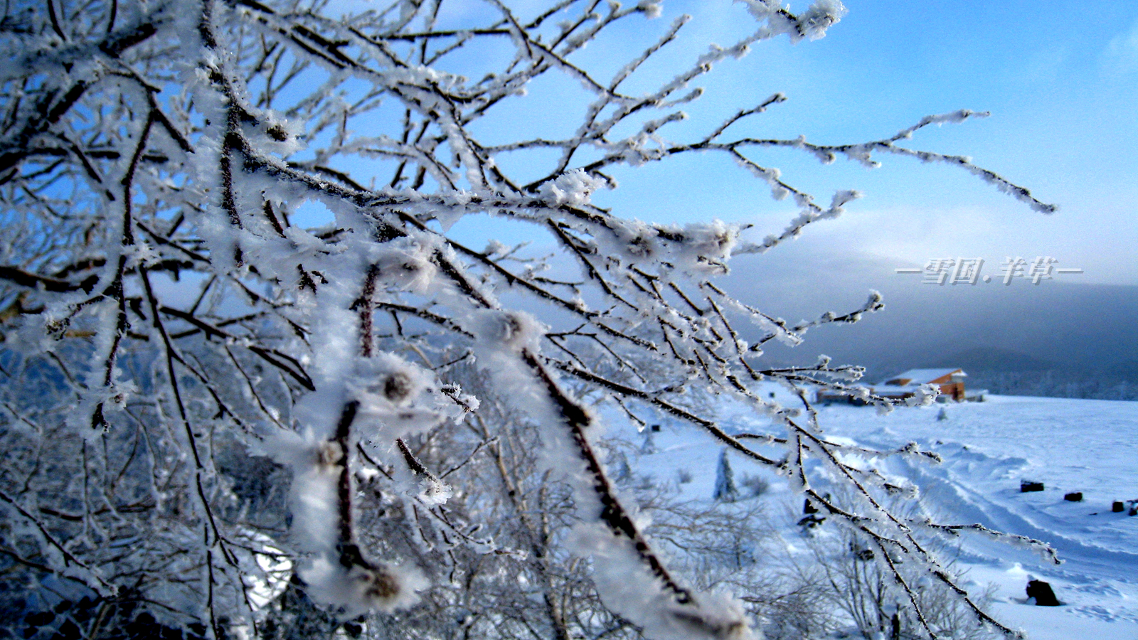 雪鄉自助遊攻略