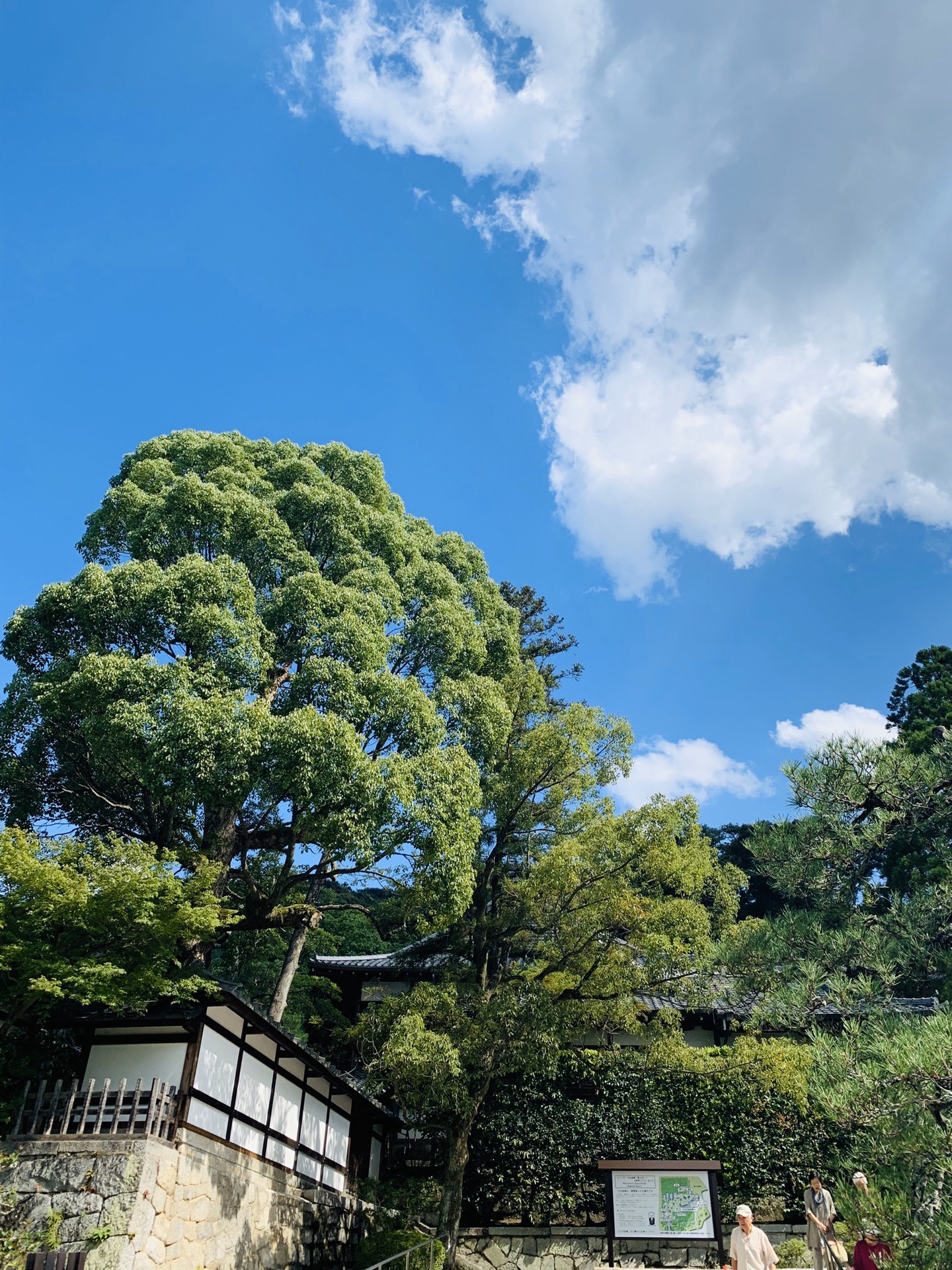 京都自助遊攻略