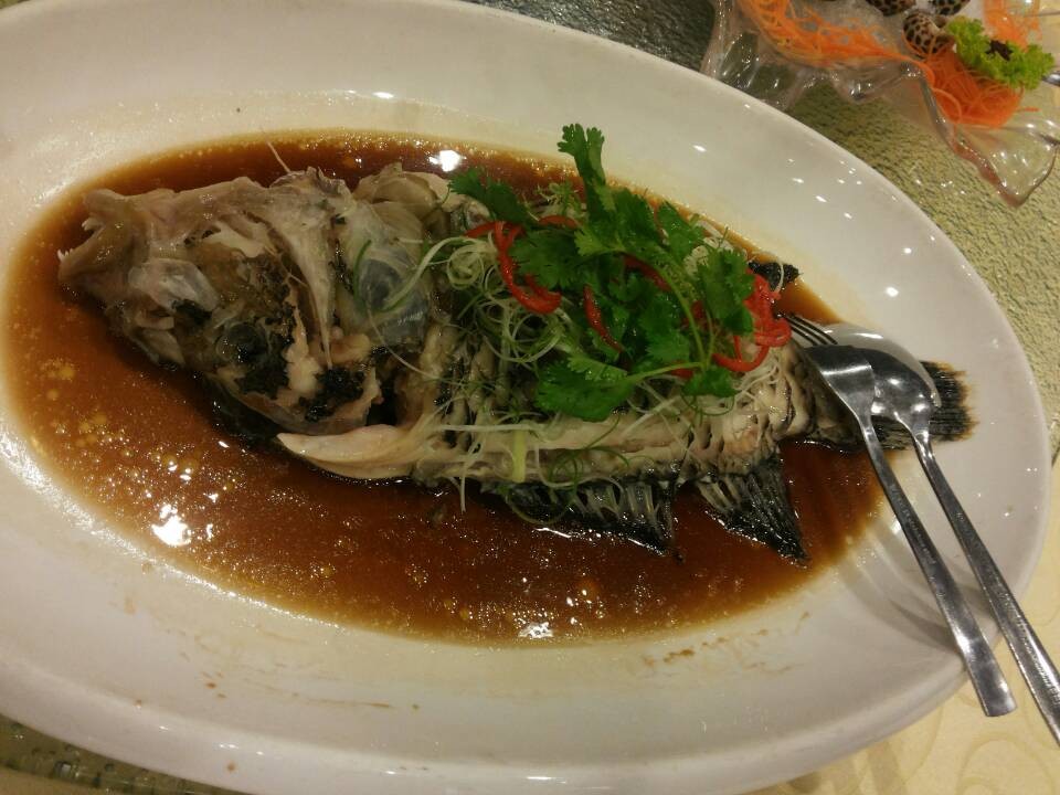 wKgB4lOErD2AB1tnAAHtll2sqro00.jpeg?imageView2%2F2%2Fw%2F600%2Fq%2F90