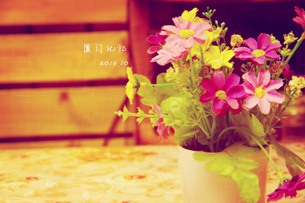 生如夏花曲谱_生如夏花泰戈尔图片