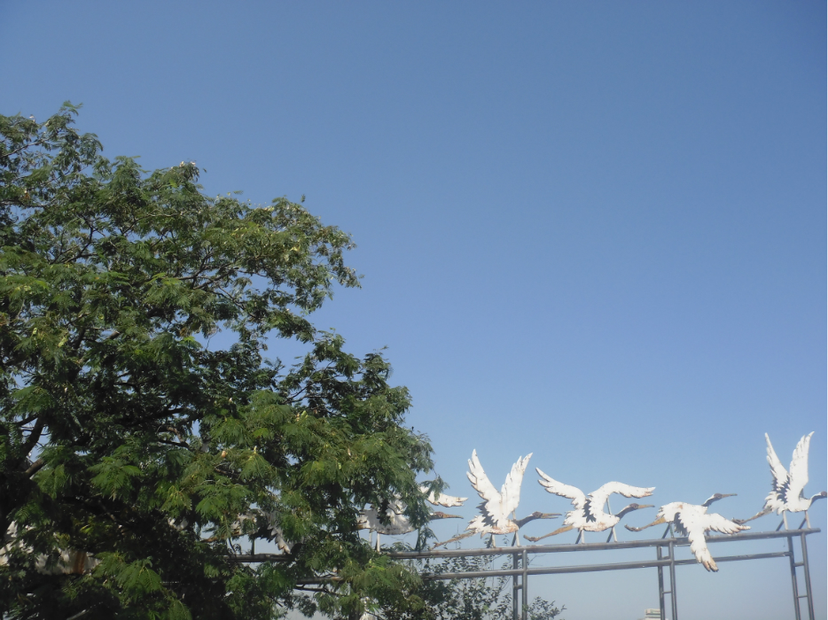 wKgB4lJTvZqAUz1aAAkU5CCn_8w11.jpeg?imageView2%2F2%2Fw%2F600%2Fh%2F600%2Fq%2F90