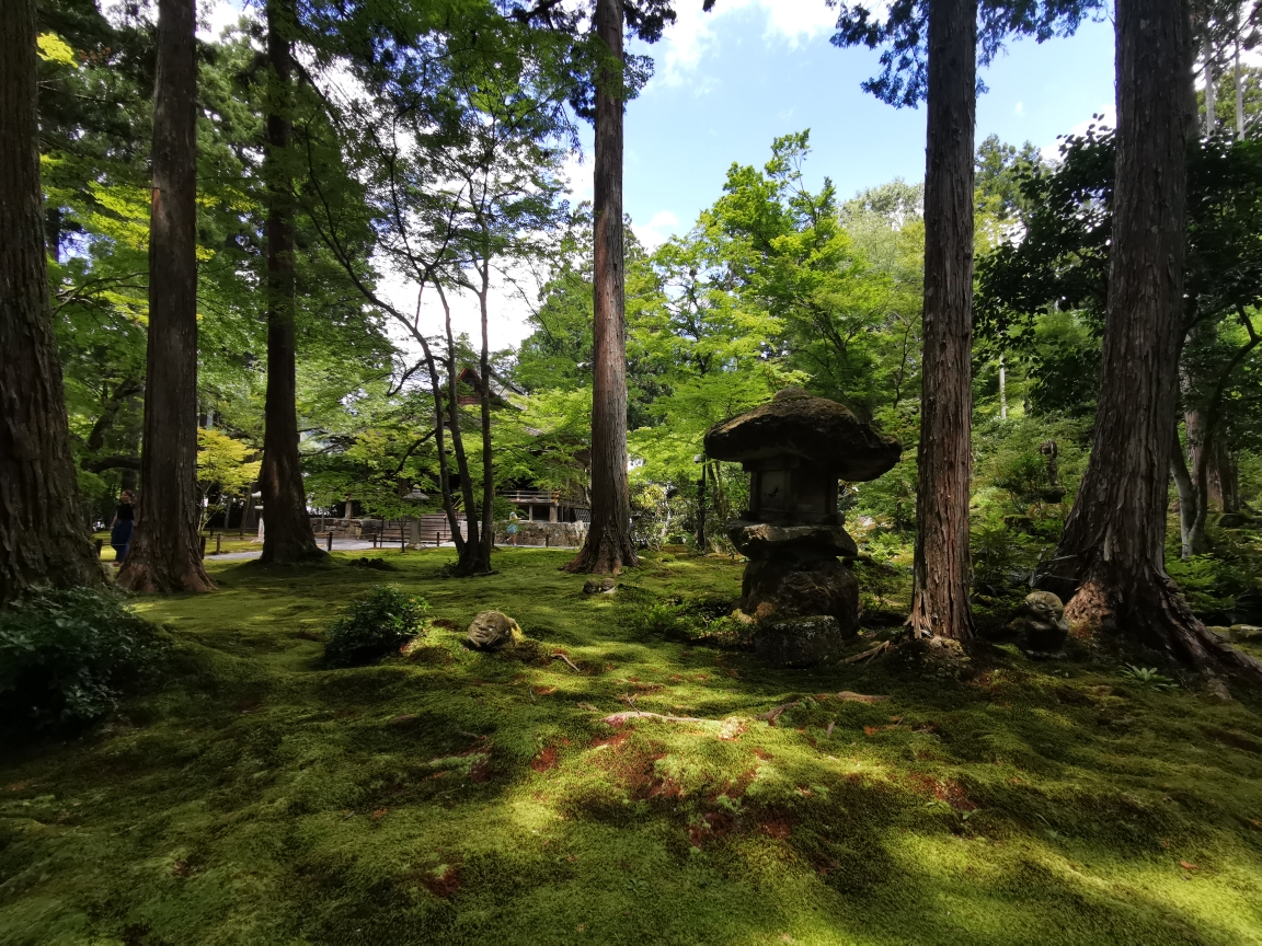 京都自助遊攻略