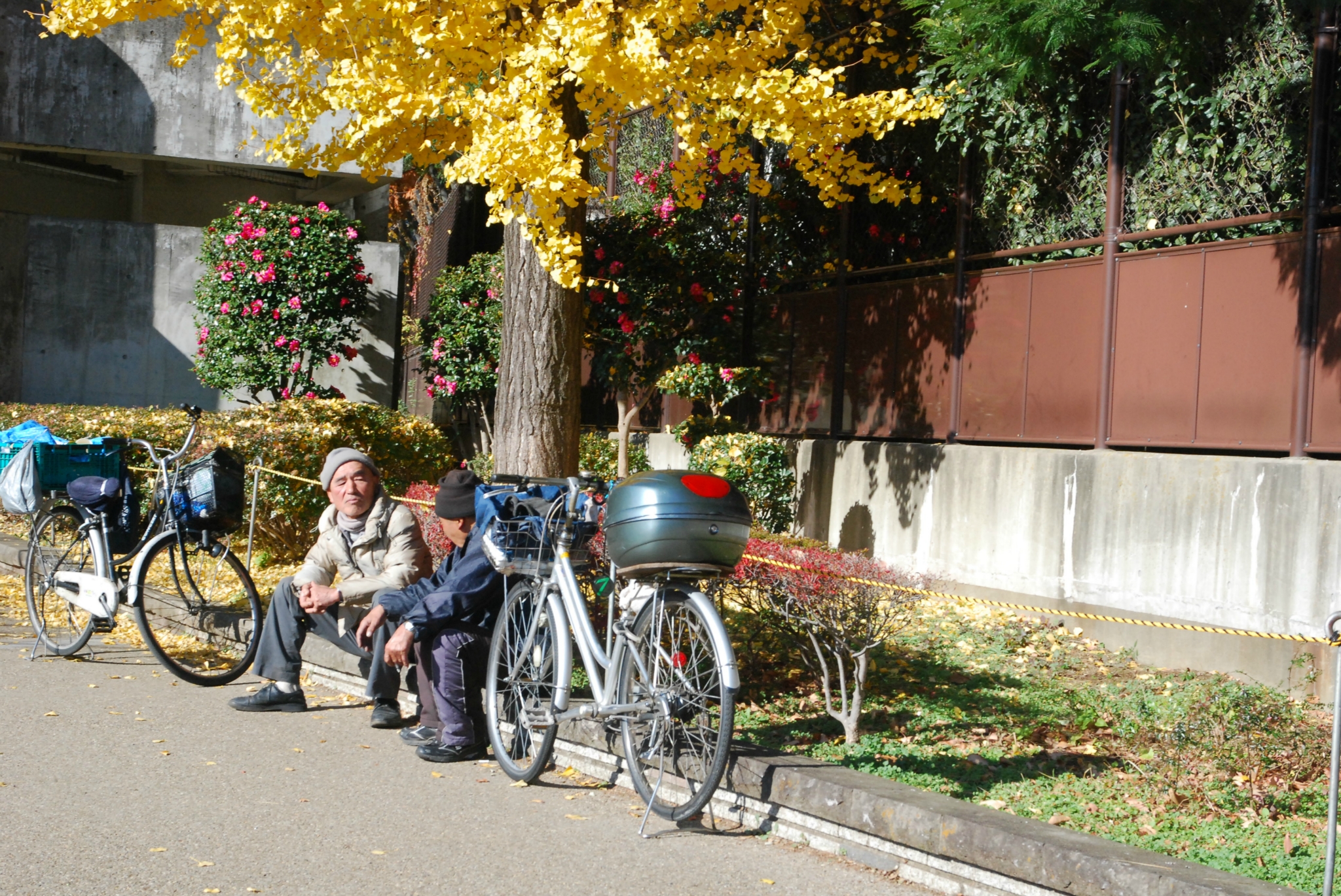 東京自助遊攻略