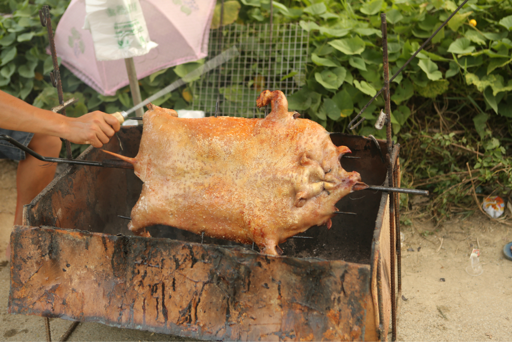 巴马烤香猪