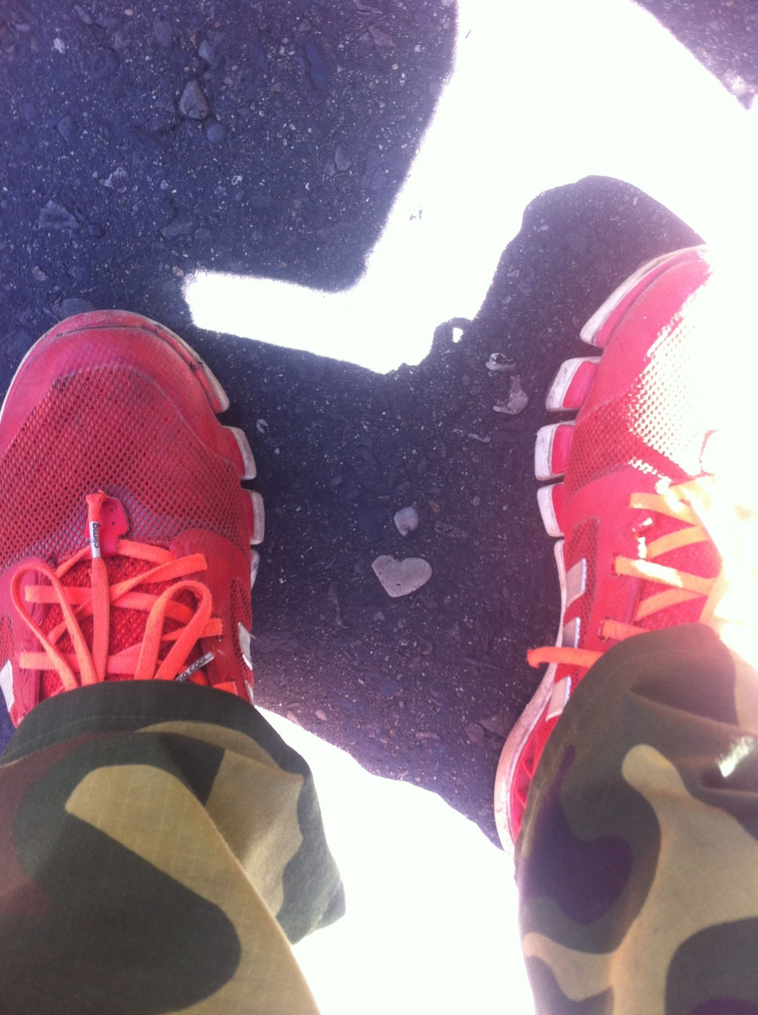 踩着二八大杠征服西藏