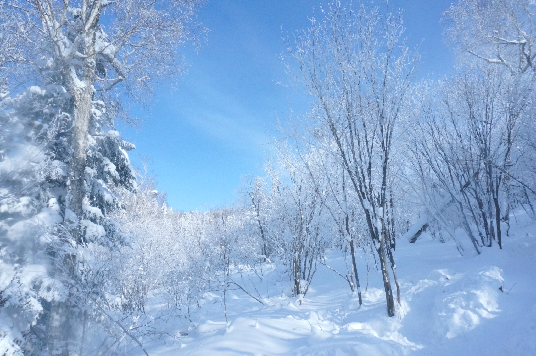 风雪哈尔滨,魅力漠河,去你的雪乡,图片016,黑龙江省旅游景点,风景名胜