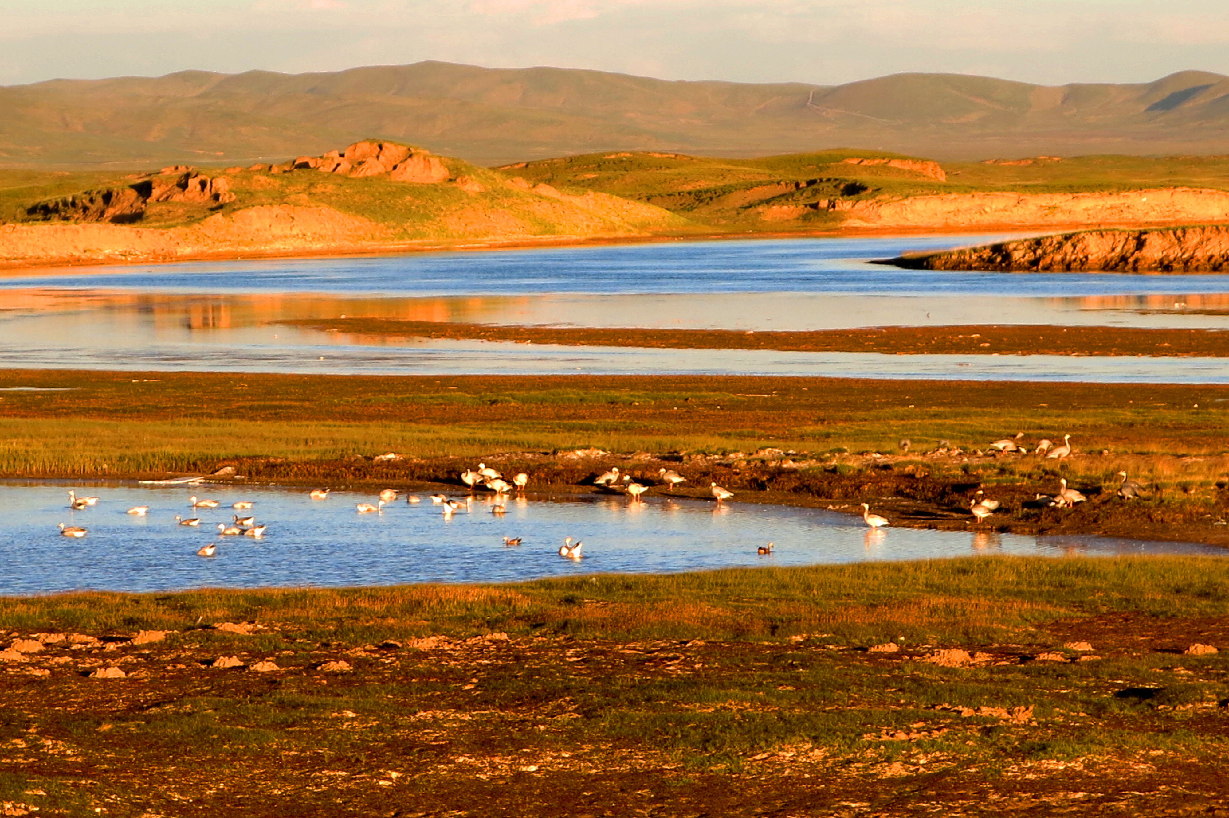 青海怕是有毒吧,去过便再也忘不掉了 -旅游景点盘点-蚂蜂窝旅游指南