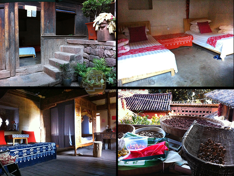 大理,不想说再见,但一定会再见(诺邓,沙溪,双廊,大理)