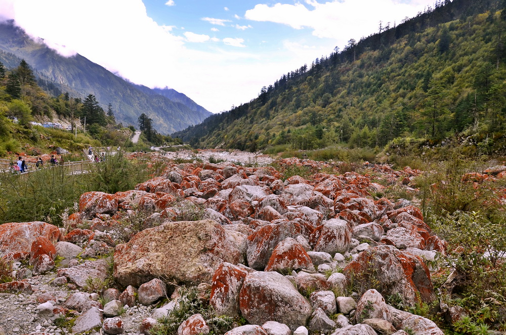 雅家梗游记图片