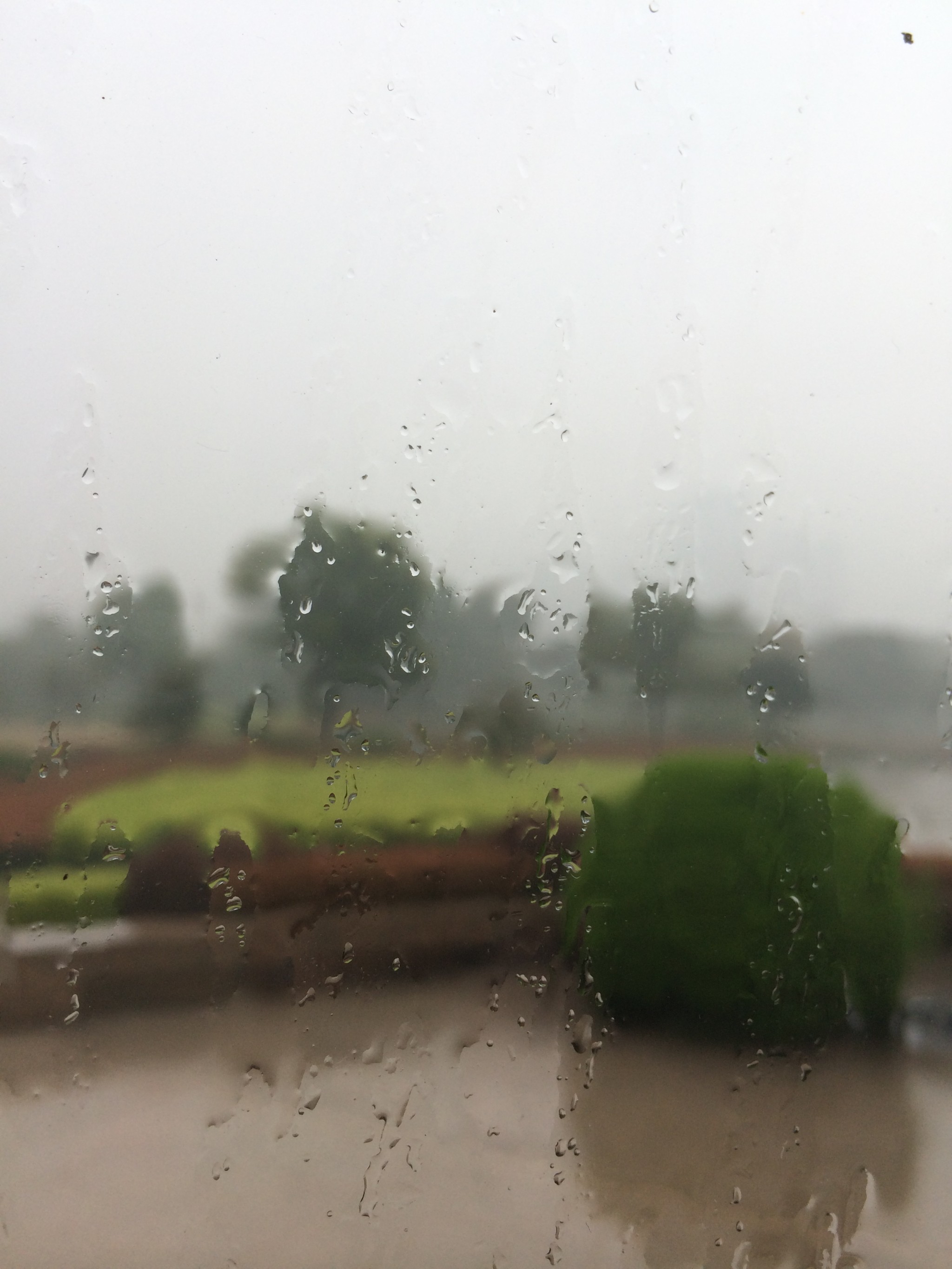 烟雨下扬州简谱_五月烟雨唱扬州简谱