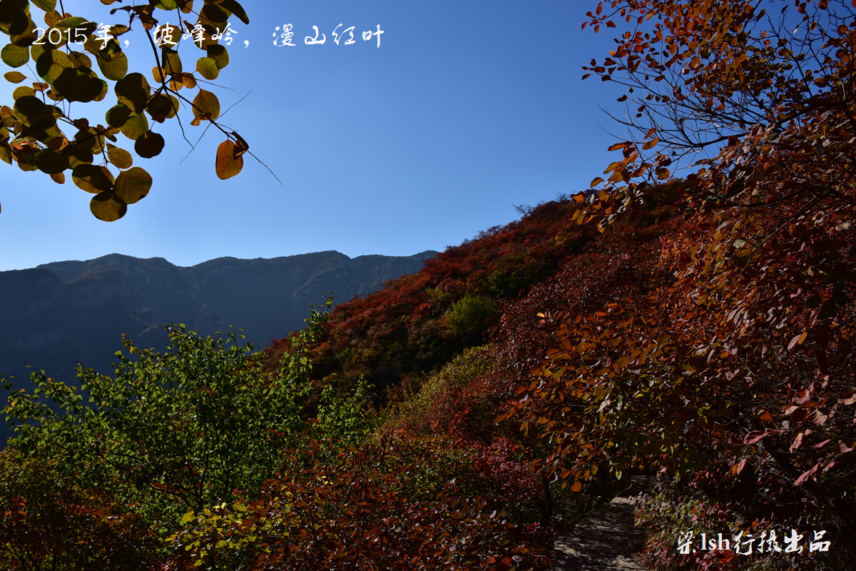 wKgBpVYzYZiAFQC4ABqbmyd2B2o19.jpeg?imageView2%2F2%2Fw%2F680%2Fq%2F90%7CimageMogr2%2Fstrip%2Fquality%2F90