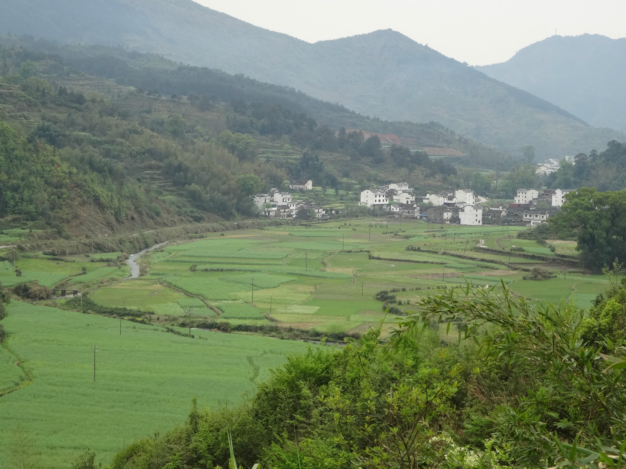 安溪县龙涓乡美岭村多少人口_安溪县龙涓乡地图全图(3)