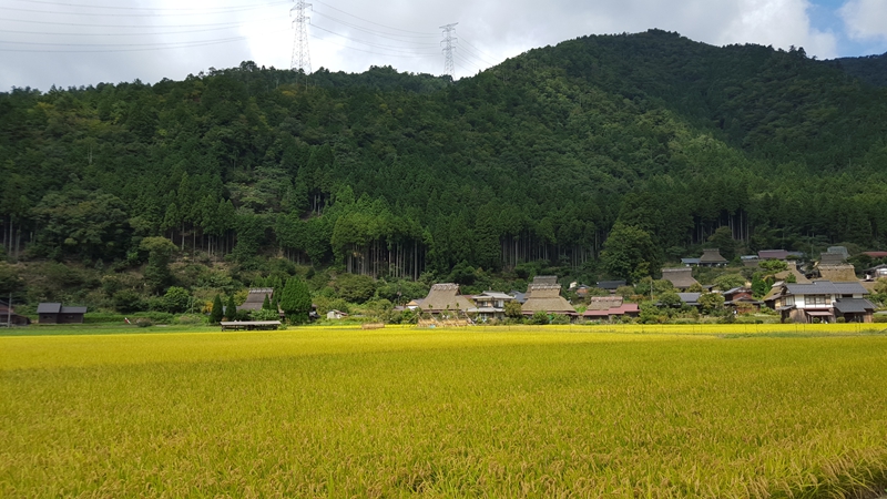 福知山人口_人口普查(2)
