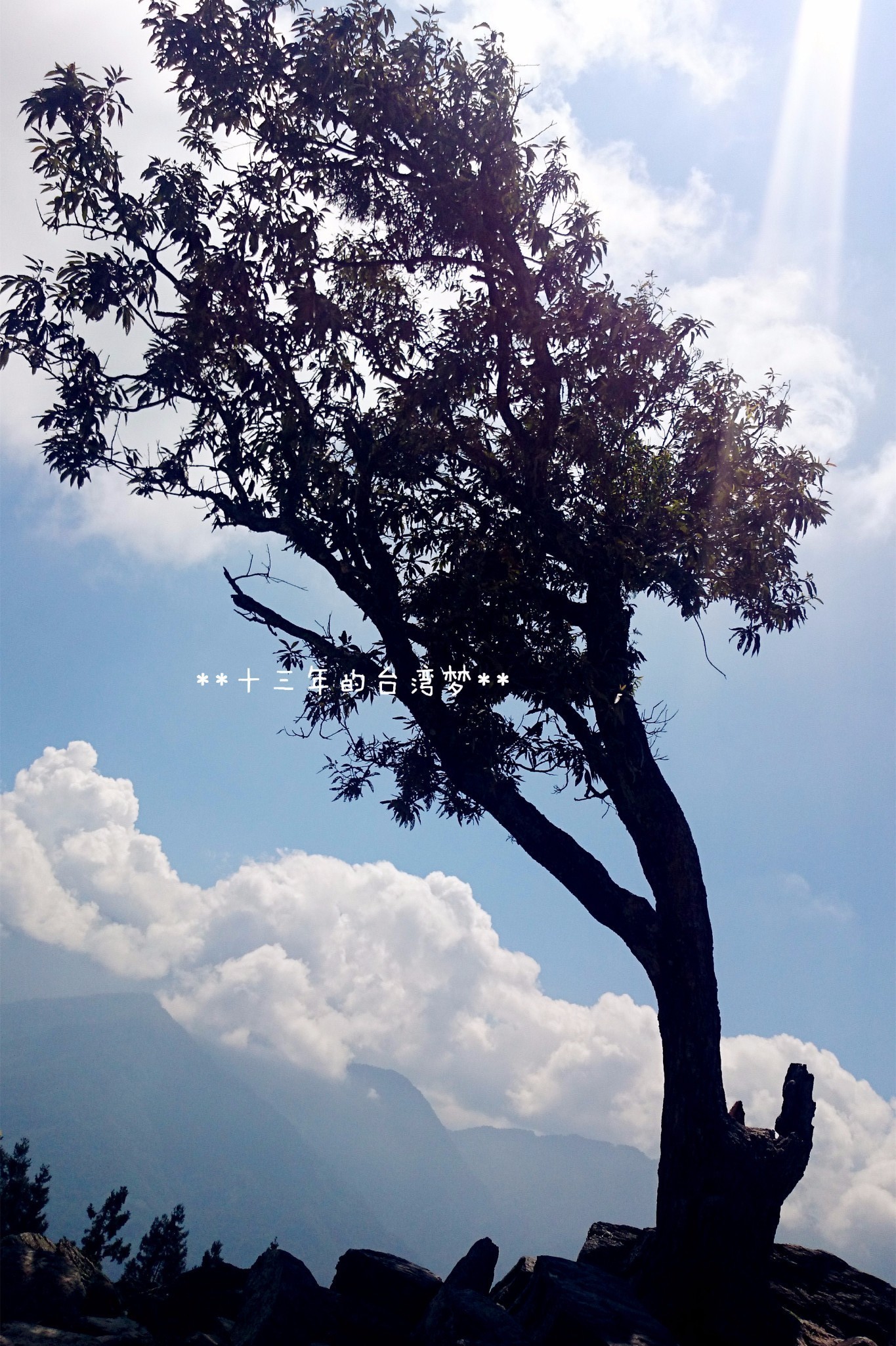 wKgBpVYMvnGAIsmIAAt6J01QJhE62.jpeg?imageView2%2F2%2Fw%2F600%2Fh%2F600%2Fq%2F90