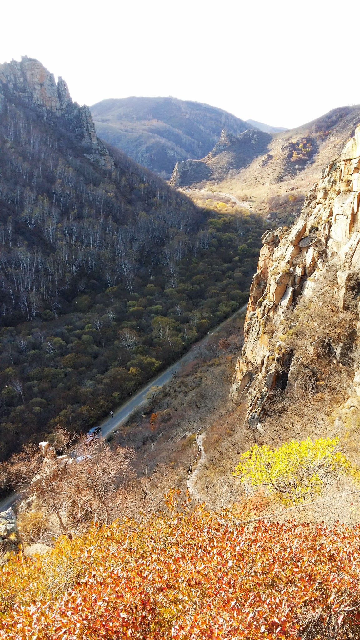 赤峰人口大镇_赤峰松山区上官地镇