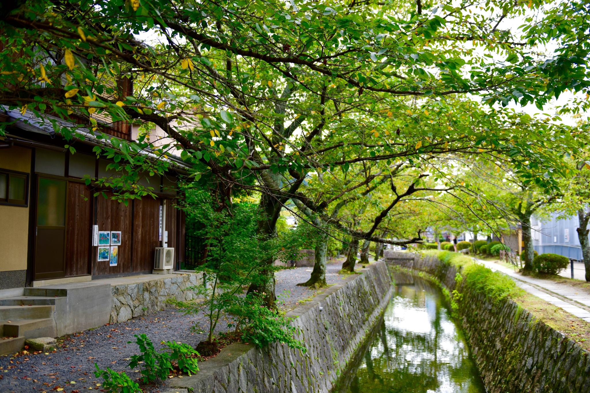 京都自助遊攻略