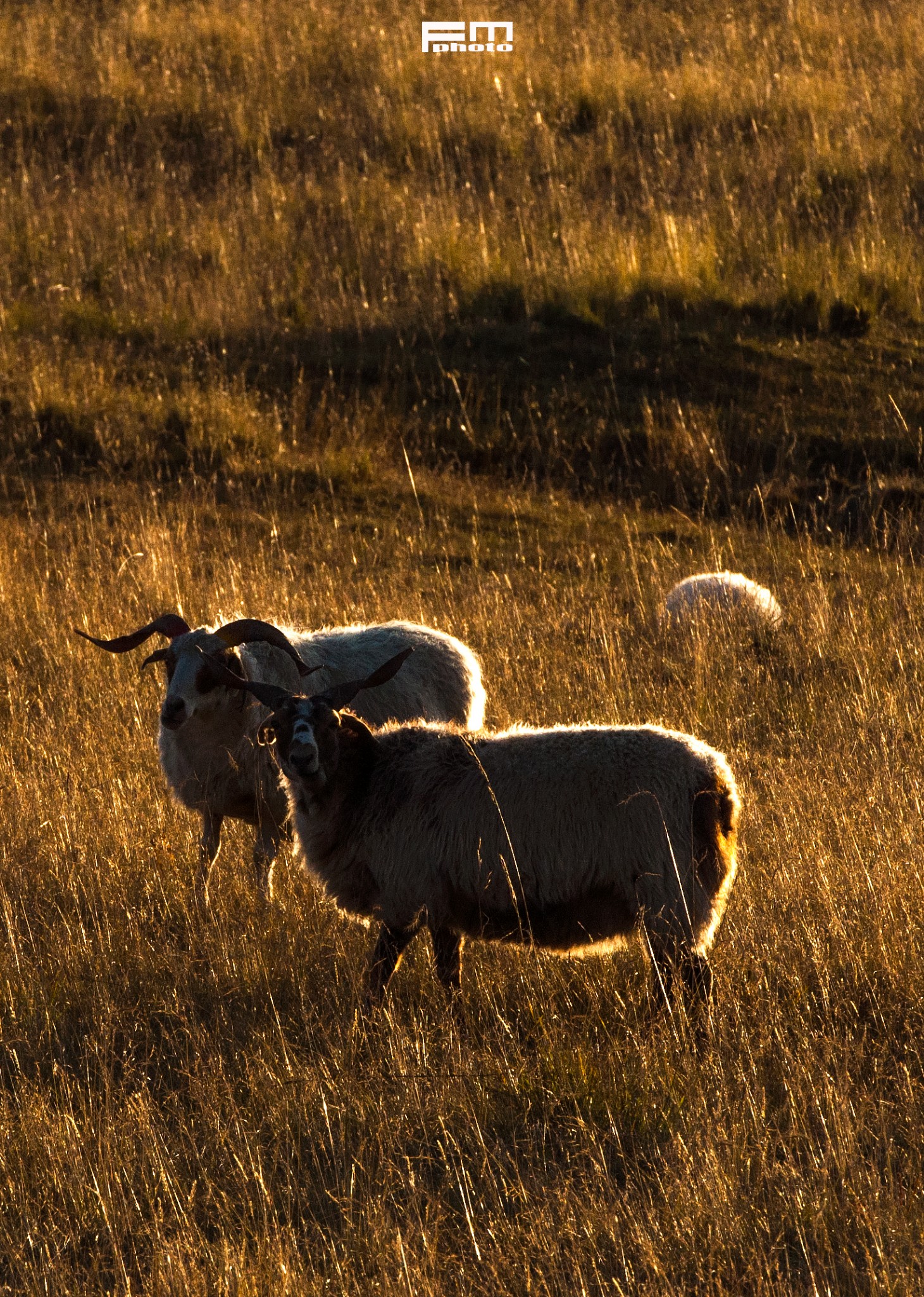 秘境柴达木,深藏不露的美