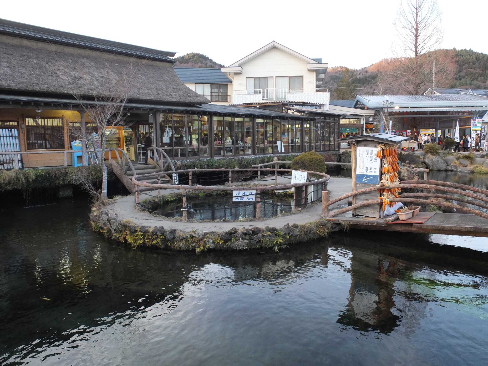 京都自助遊攻略