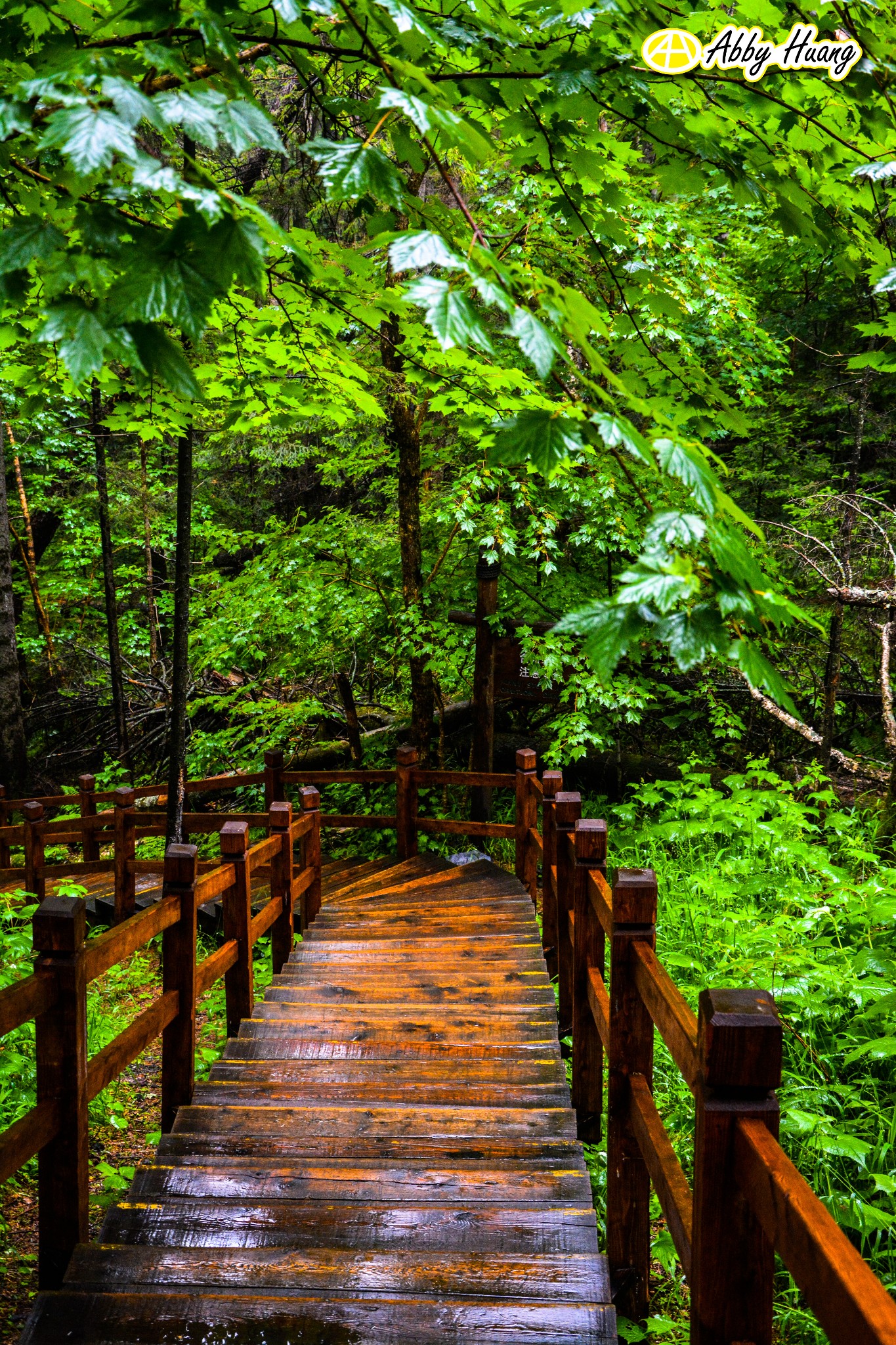 长白山天池,此景只应天上有
