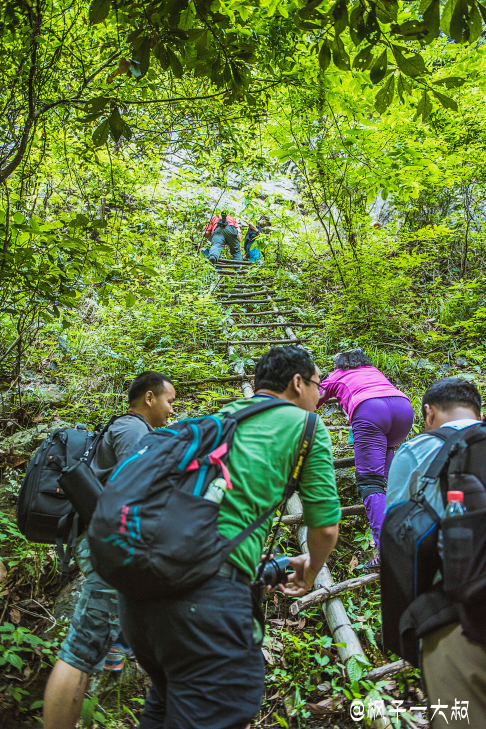 三清山自助遊攻略