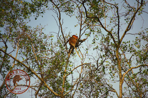 树上有个好地方2免费在线看 wKgBpVUyqtaAWZziAAfsFMAb-hE41.jpeg?imageView2%2F2%2Fw%2F600%2Fh%2F600%2Fq%2F90%7Cimageslim