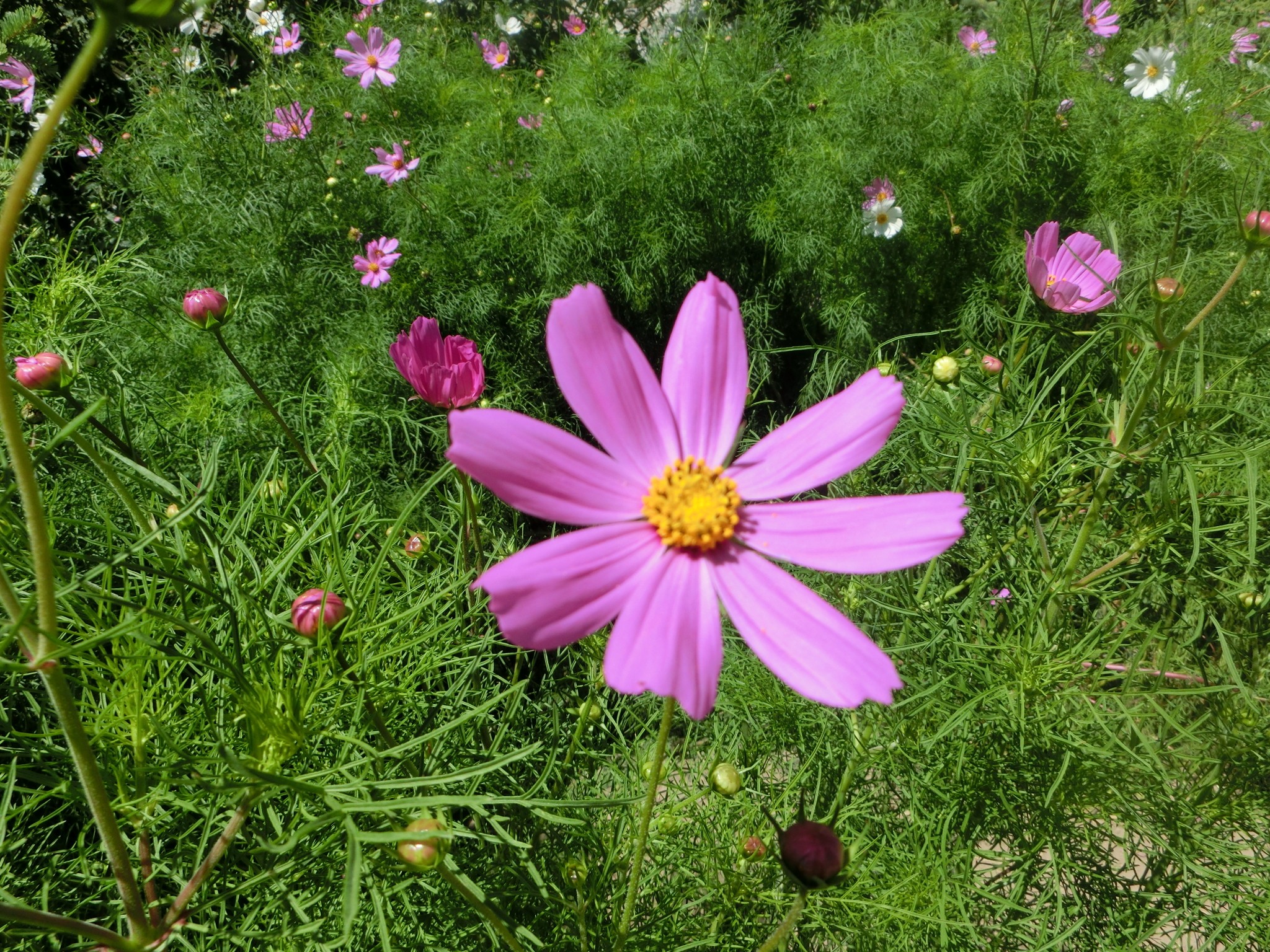 wKgBpVW3i3GAR8oQABLQnQxL7hw31.jpeg?imageView2%2F2%2Fw%2F600%2Fh%2F600%2Fq%2F90