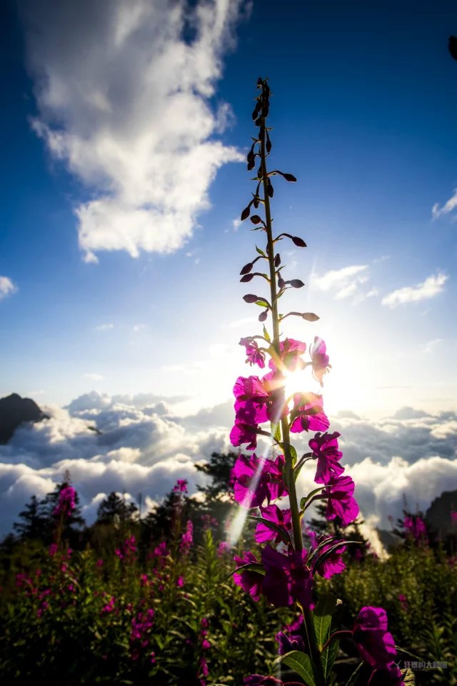 九峰山游记图片