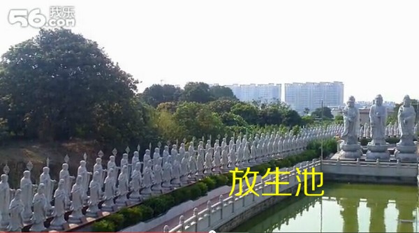 龙海市浮宫镇的gdp_首届闽南彩楼文化节昨在龙海浮宫镇开幕 感受 搭彩楼 习俗魅力(2)