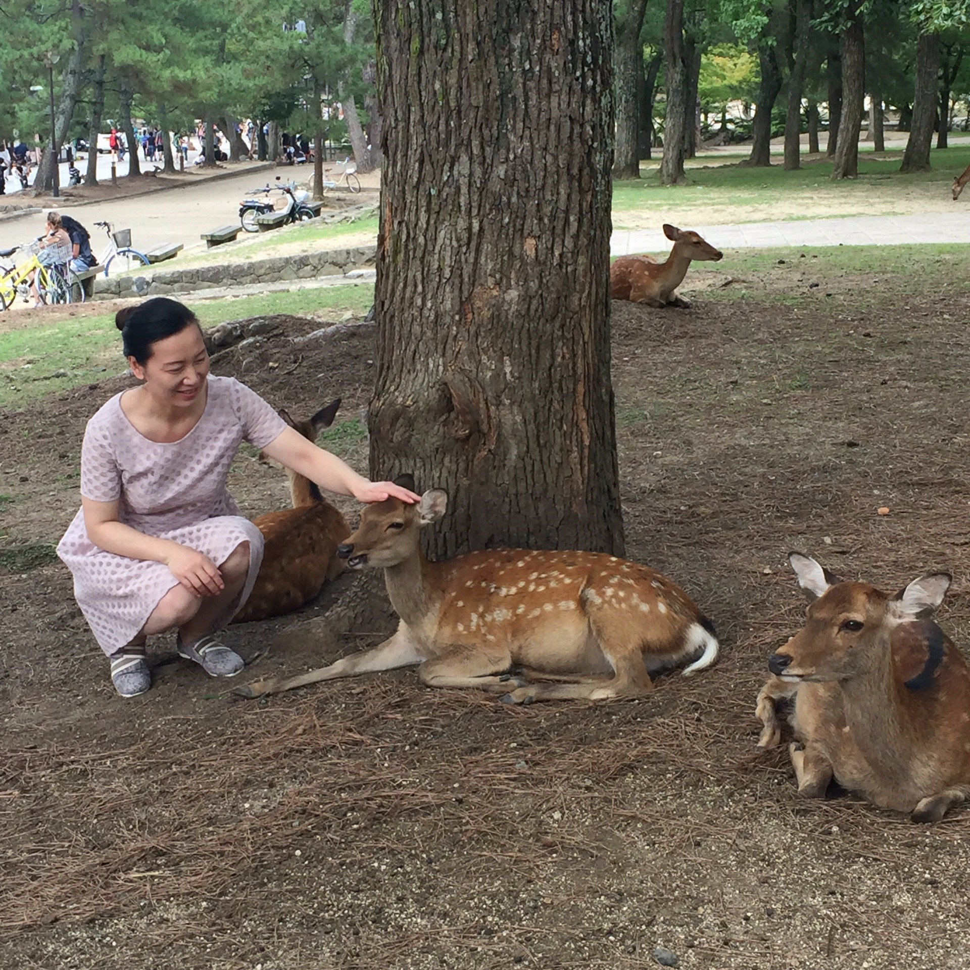 什么强食成语_成语故事图片(2)