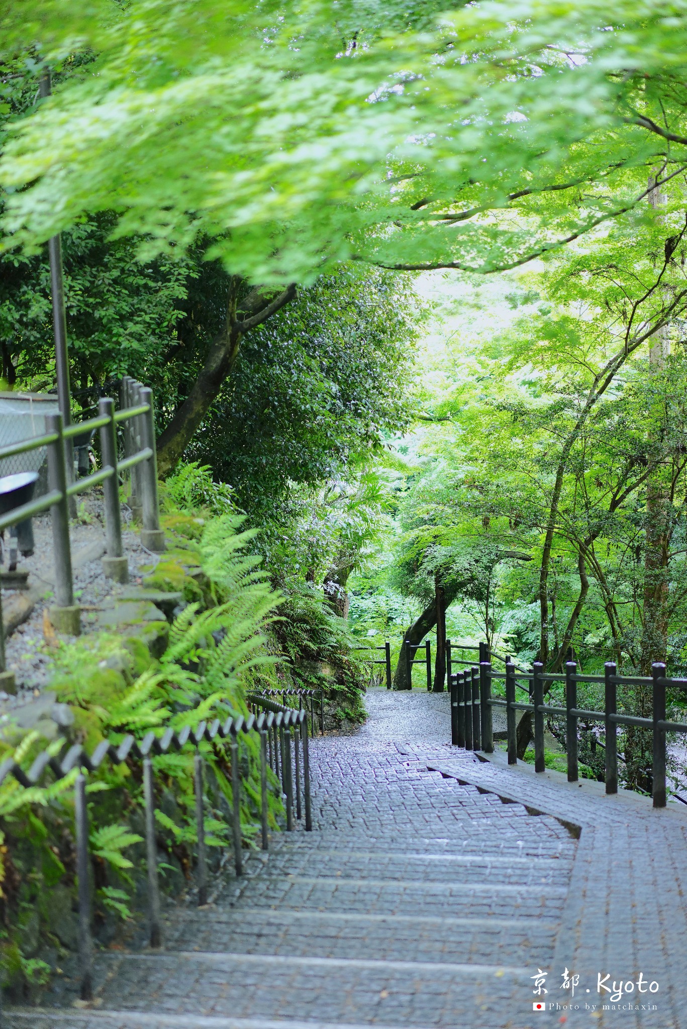 京都自助遊攻略