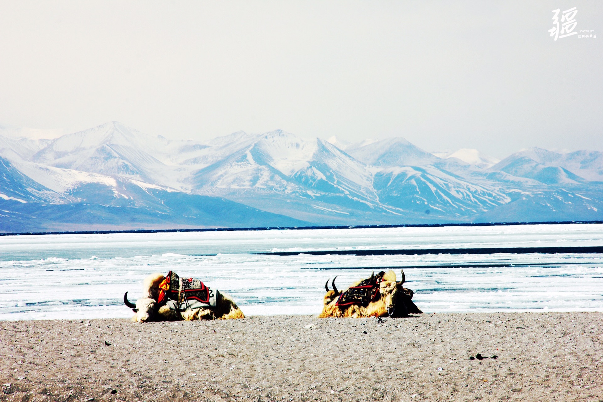 wKgBs1gt45yAdHnHAAqMomaok5A74.jpeg?imageView2%2F2%2Fw%2F680%2Fq%2F90%7CimageMogr2%2Fstrip%2Fquality%2F90