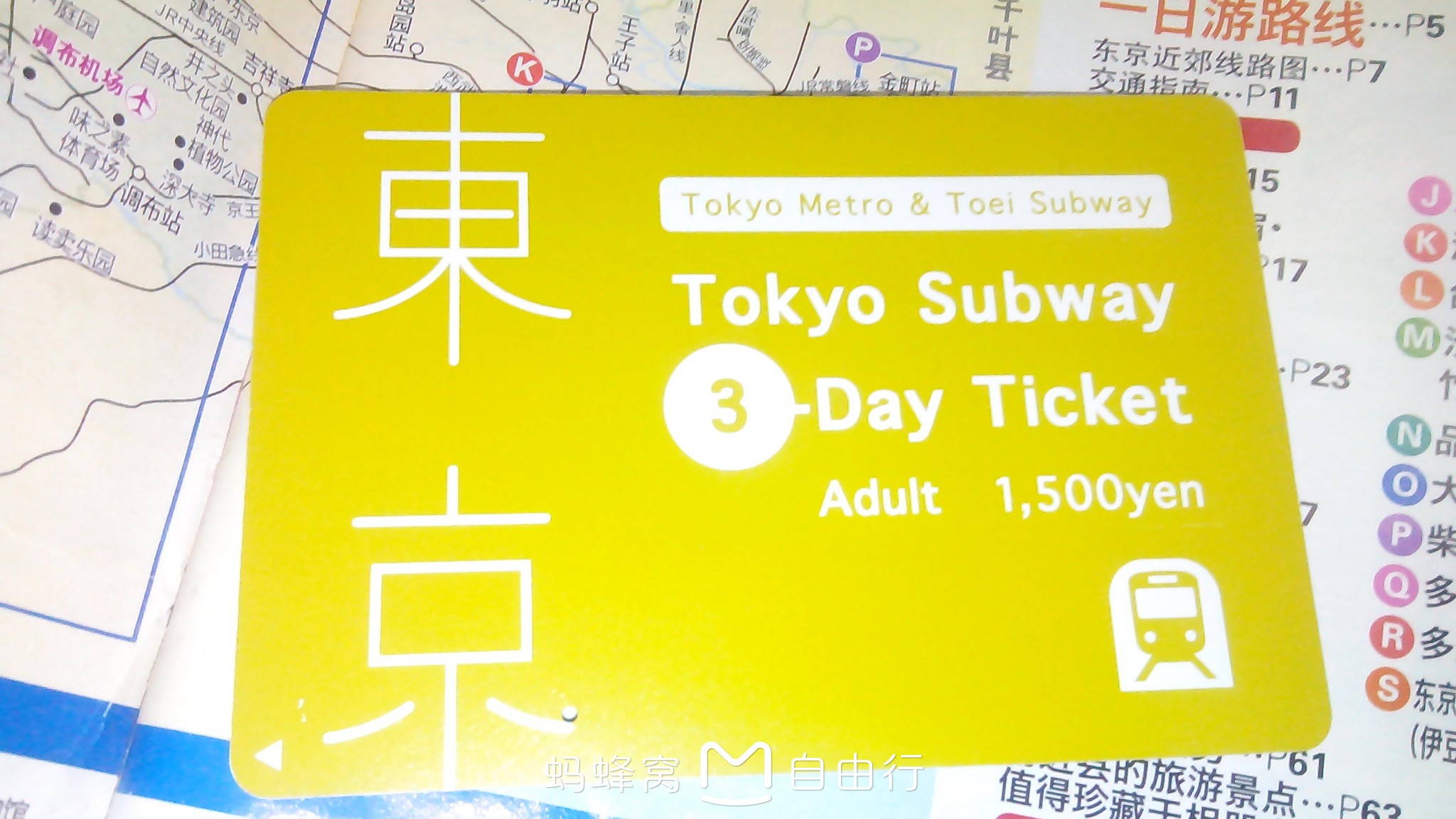 日本同人口