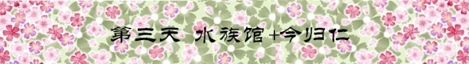 Day3 旅游巴士B线一日游 Day3 旅游巴士B线一日游