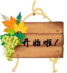 开始啦! 开始啦!